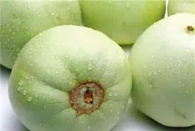 反季节甜瓜在种植技术方面应小心什么？
