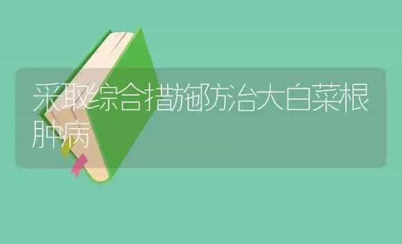 采取综合措施防治大白菜根肿病 | 植物病虫害
