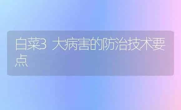 白菜3大病害的防治技术要点 | 植物病虫害
