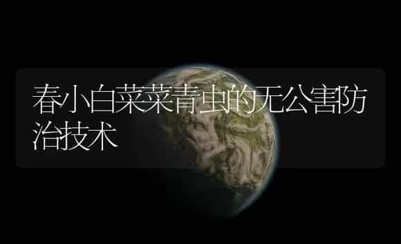 春小白菜菜青虫的无公害防治技术 | 植物病虫害