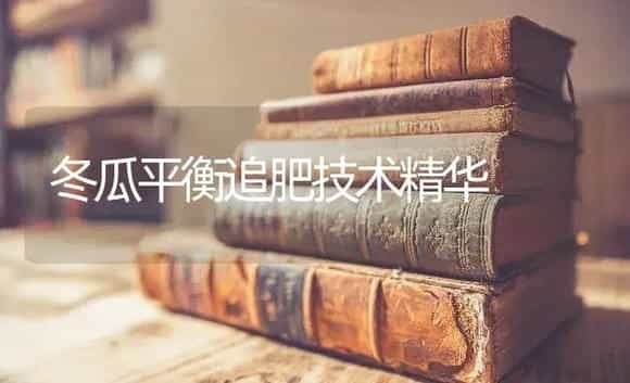 冬瓜平衡追肥技术精华 | 蔬菜种植