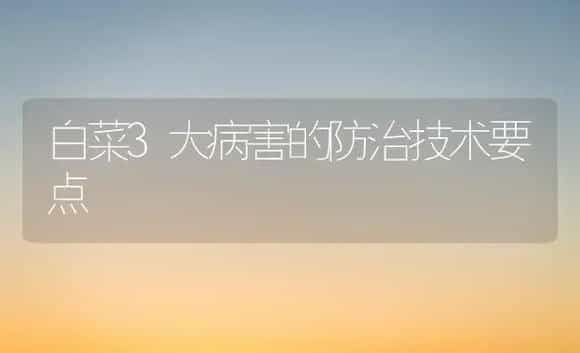 白菜3大病害的防治技术要点 | 植物病虫害