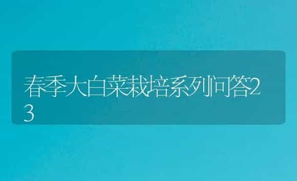春季大白菜栽培系列问答23 | 植物病虫害