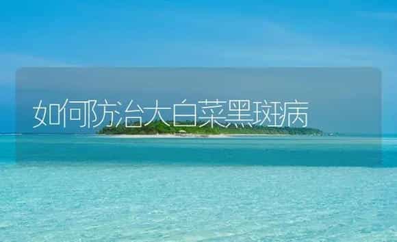 如何防治大白菜黑斑病 | 植物病虫害