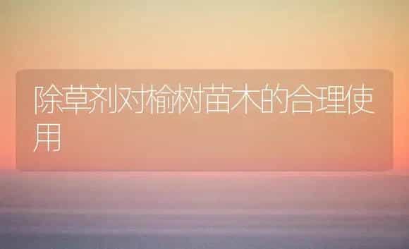除草剂对榆树苗木的合理使用 | 植物农药