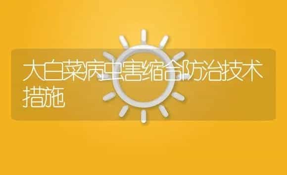 大白菜病虫害缩合防治技术措施 | 植物病虫害