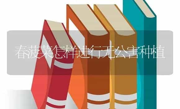 春菠菜怎样进行无公害种植 | 蔬菜种植