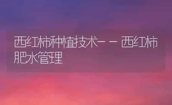 西红柿种植技术--西红柿肥水管理 | 植物肥料