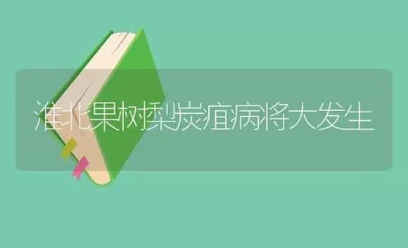 淮北果树梨炭疽病将大发生 | 植物病虫害