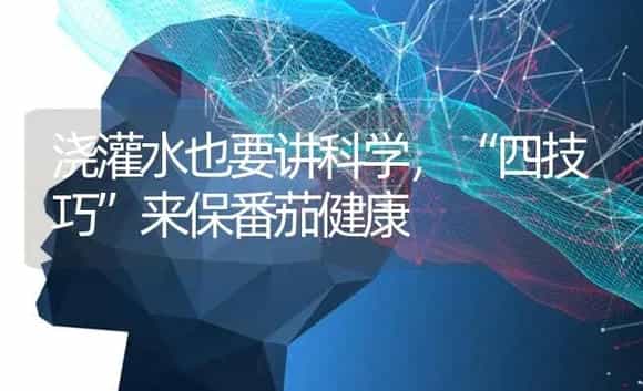 浇灌水也要讲科学,“四技巧”来保番茄健康 | 蔬菜种植