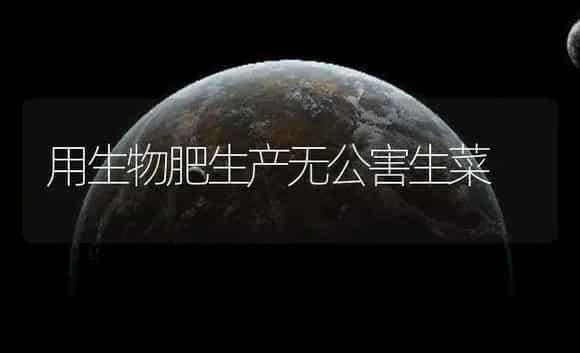 用生物肥生产无公害生菜 | 植物肥料