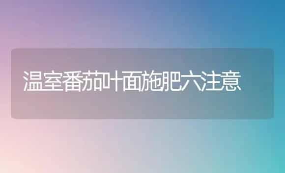温室番茄叶面施肥六注意 | 植物肥料