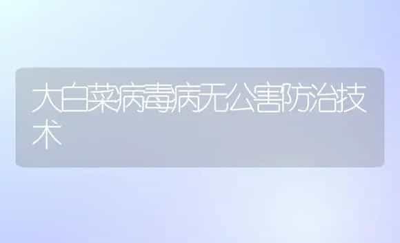 大白菜病毒病无公害防治技术 | 植物病虫害