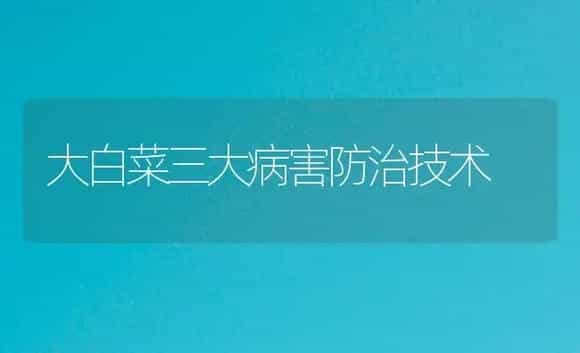 大白菜三大病害防治技术 | 植物病虫害