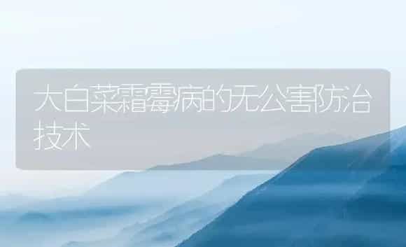 大白菜霜霉病的无公害防治技术 | 植物病虫害