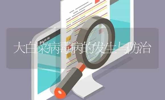 大白菜病毒病的发生与防治 | 植物病虫害