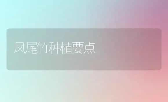 马铃薯海藻菌肥应用技巧 | 植物肥料