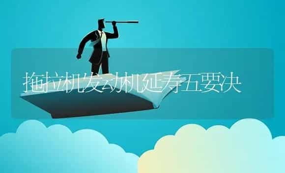 拖拉机发动机延寿五要决 | 农资农机