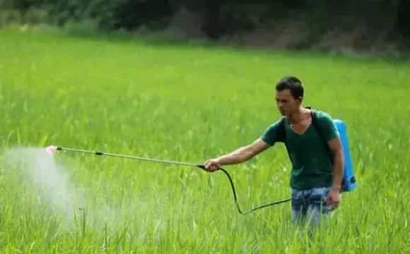 农药二次稀释的好处与方法