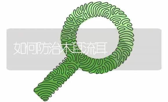如何防治木耳流耳 | 植物病虫害
