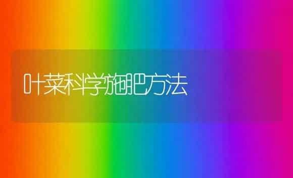 叶菜科学施肥方法 | 植物肥料