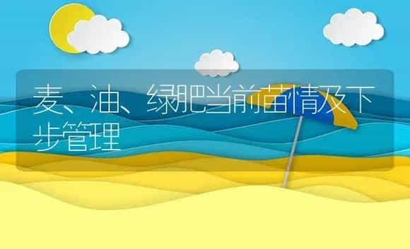 麦、油、绿肥当前苗情及下步管理 | 植物肥料