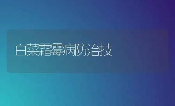 白菜霜霉病防治技 | 植物病虫害