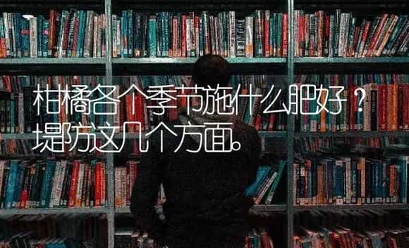 柑橘各个季节施什么肥好？堤防这几个方面。 | 蔬菜种植