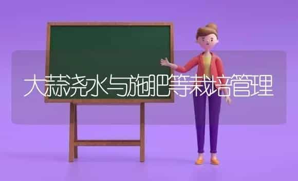 大蒜浇水与施肥等栽培管理 | 植物肥料
