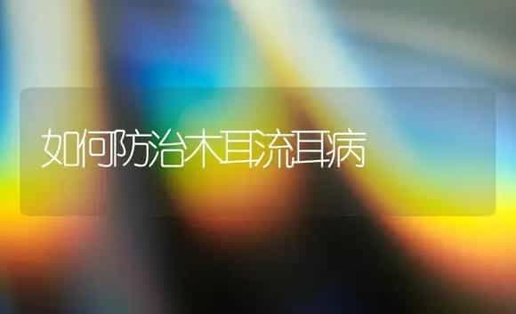 如何防治木耳流耳病 | 植物病虫害