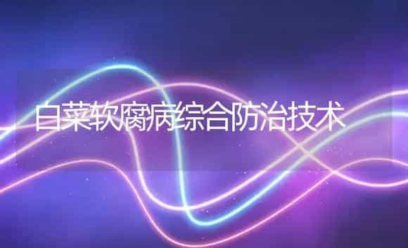 白菜软腐病综合防治技术 | 植物病虫害