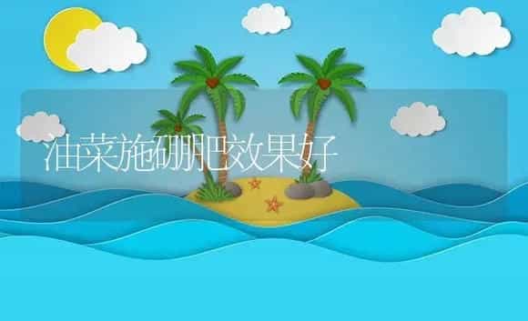 油菜施硼肥效果好 | 植物肥料