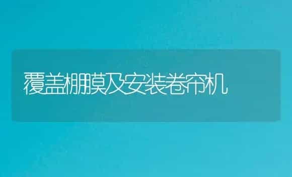覆盖棚膜及安装卷帘机 | 农资农机