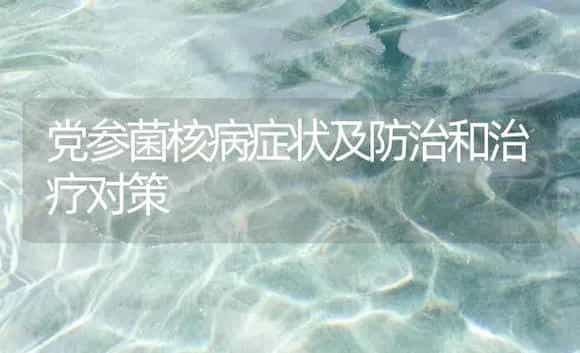 党参菌核病症状及防治和治疗对策 | 药材种植