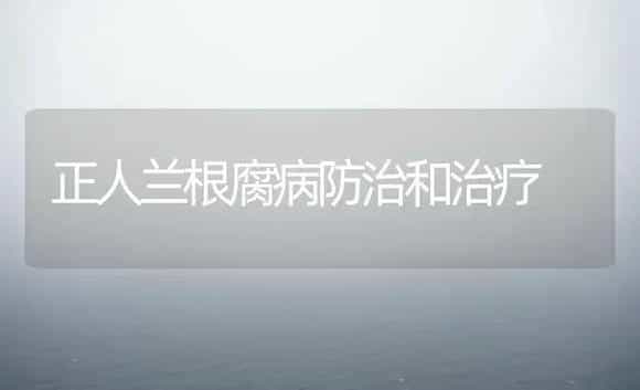 正人兰根腐病防治和治疗 | 家庭养花