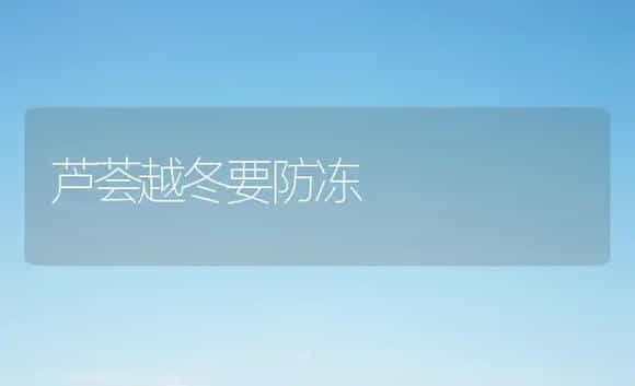 芦荟越冬要防冻 | 家庭养花