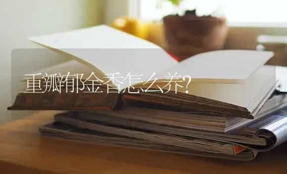 重瓣郁金香怎么养？ | 绿植常识