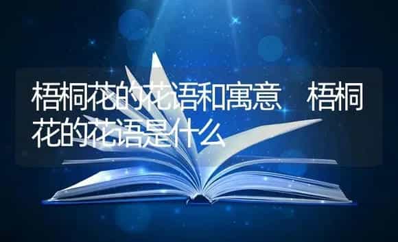 梧桐花的花语和寓意 梧桐花的花语是什么 | 绿植寓意
