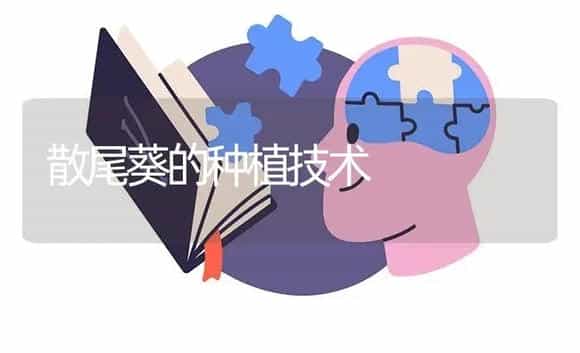 散尾葵的种植技术 | 特种种植