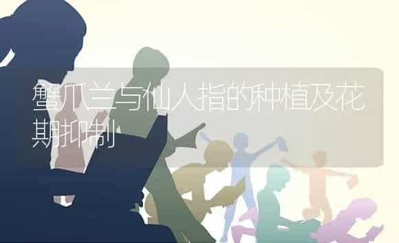 蟹爪兰与仙人指的种植及花期抑制 | 特种种植