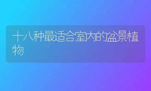 十八种最适合室内的盆景植物 | 家庭养花