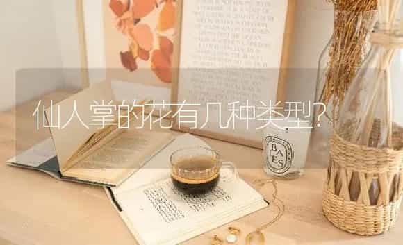 仙人掌的花有几种类型？ | 多肉养殖