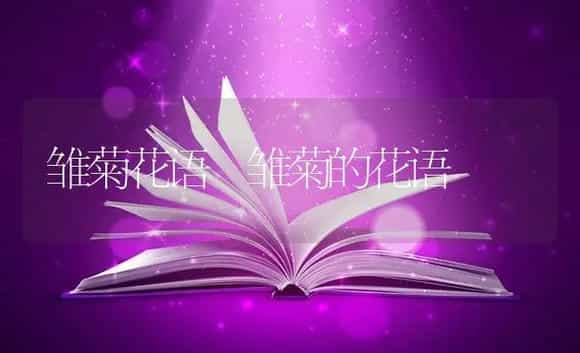 雏菊花语 雏菊的花语 | 绿植寓意