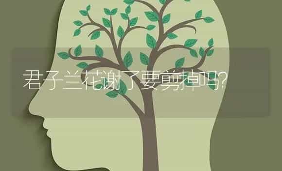 君子兰花谢了要剪掉吗？ | 绿植常识