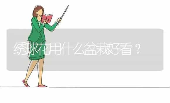 绣球花用什么盆栽好看？ | 绿植常识