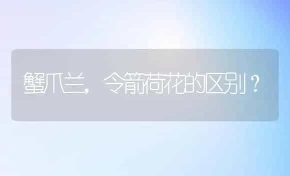 蟹爪兰,令箭荷花的区别? | 多肉养殖