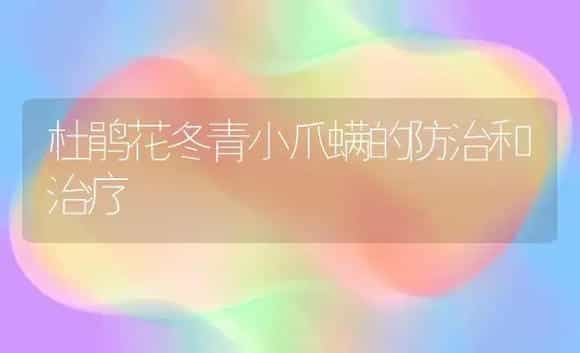杜鹃花冬青小爪螨的防治和治疗 | 家庭养花
