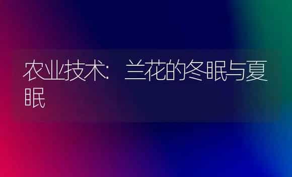 农业技术:兰花的冬眠与夏眠 | 家庭养花
