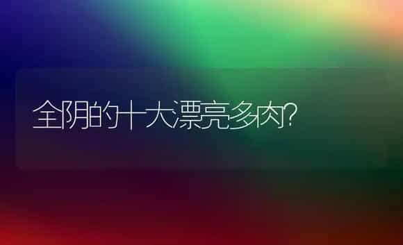 全阴的十大漂亮多肉？ | 多肉养殖