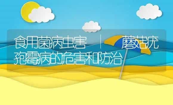 蘑菇疣孢霉病的危害和防治 | 菌菇种植